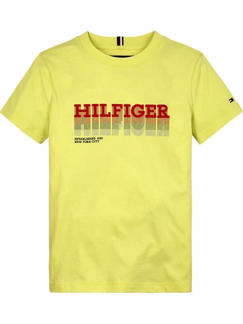 Camiseta-fade-hilfiger