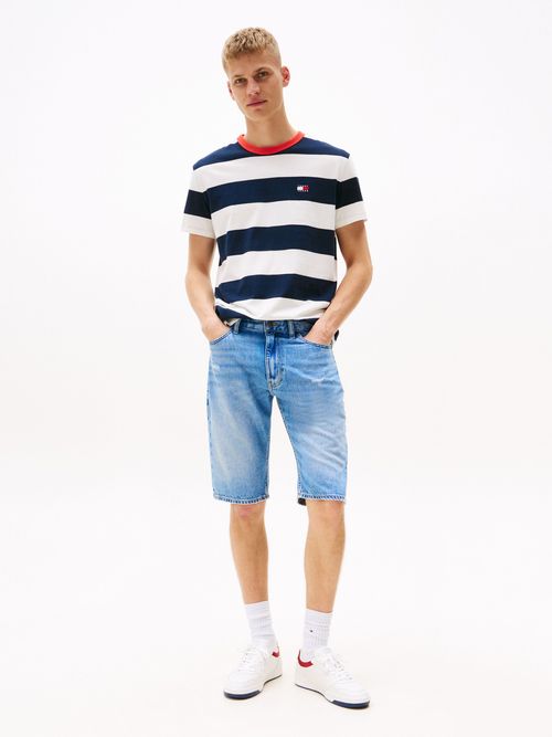 Camiseta-Bold-Stripe-Regular-para-hombre