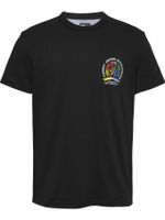 Camiseta-Pop-Crest-Regular-para-hombre