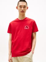 Camiseta-de-corte-regular-con-logo-grafico