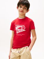 Camiseta-con-estampado-grafico-