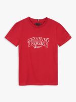 Camiseta-con-logo-grafico