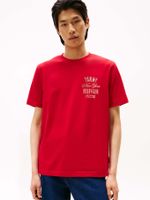 Camiseta-con-logo-grafico